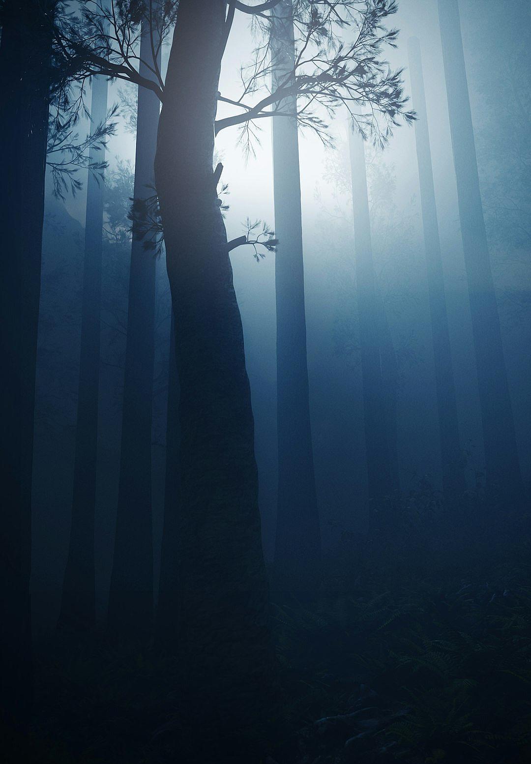 A tall tree in the middle of an eerie forest, with a dark blue misty atmosphere. The photorealistic and hyper realistic style was rendered in the style of unreal engine and octane render from a low angle.