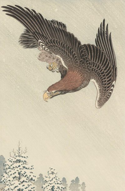 A Japanese woodblock print depicts an eagle in flight, its wings spread wide against the sky. The background is a light grey with fine snowflakes falling. In one wing there is a golden ring and at its beak it holds gold rings. There are some trees in the bottom right corner. It has a dark brown body, a black head, a white underbody and a yellow face around the eyes. in the style of [Katsushika Hokusai](https://goo.gl/search?artist%20Katsushika%20Hokusai).