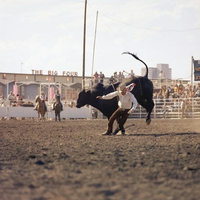 a photo of the big four rodeo in calלתduring the late60s, where an cowboy is falling off his bull after being throwed from it by other cowboys and onlookers watch him fall . The name "THE BIG(removeivity narrow focus, motion blur , soft light, 35mm lens, f/22, no bokeh effect, film grain, kodak film stock, natural lighting, sunny day, wide shot, DSLR, film still, cinematic look, ultra realistic. raw.