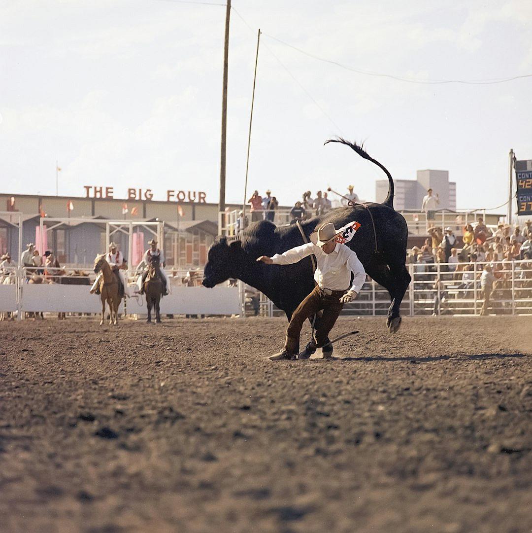 a photo of the big four rodeo in calלתduring the late60s, where an cowboy is falling off his bull after being throwed from it by other cowboys and onlookers watch him fall . The name “THE BIG(removeivity narrow focus, motion blur , soft light, 35mm lens, f/22, no bokeh effect, film grain, kodak film stock, natural lighting, sunny day, wide shot, DSLR, film still, cinematic look, ultra realistic. raw.