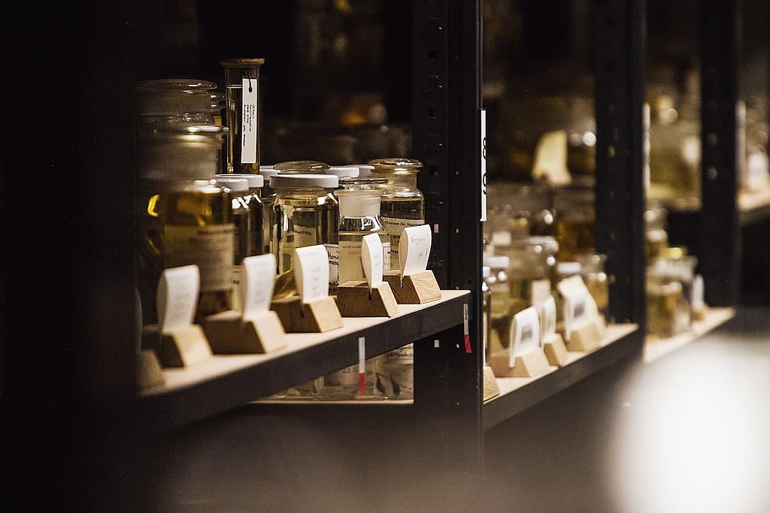 A closeup shot of glass jars and wooden boxes containing insect samples, each with small white labels on them in the dark room of an American natural history museum. The focus is on one jar that contains two very large golden brown crickets. There is a faint light from above casting shadows across part or all of its surface. In front of it stand three rectangular shelves filled with other metallic objects in the style of an American natural history museum.