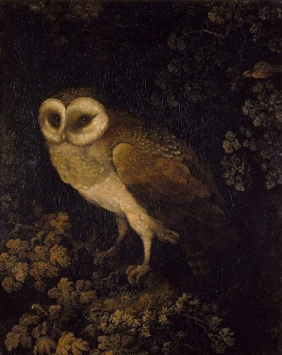 A baroque oil painting in the style of Esteban Murillo depicting an owl in the dark woods on a black background, vintage gothic style, flowers and foliage.