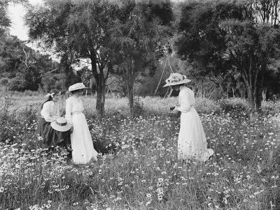 black and white photo of edwardian girls in meadow with trees, victorian garden scene, wild flowers everywhere, white dress, hat