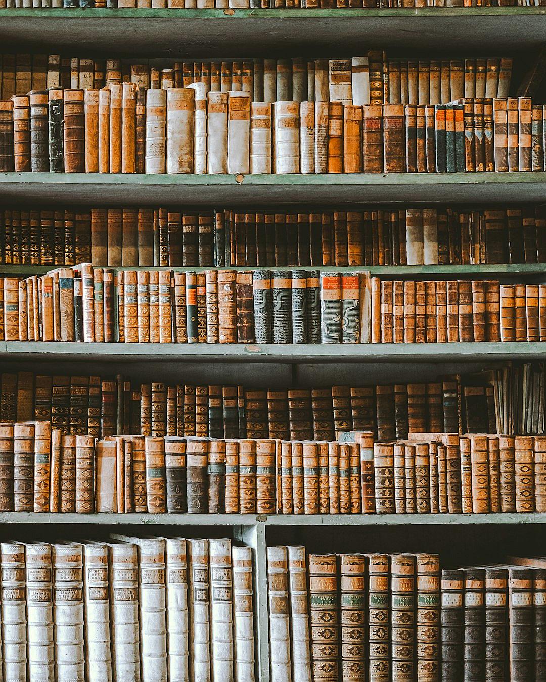 A vintage library filled with shelves of old, leather-bound books, showcasing the beauty and history behind each cover. The soft focus on the background creates an atmosphere that feels both nostalgic and mysterious.