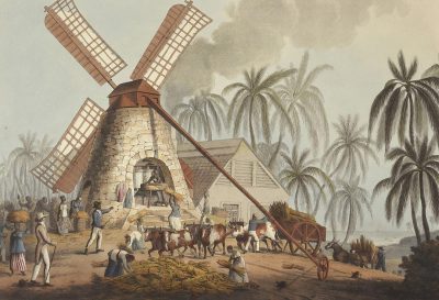 A detailed hand colored illustration of an old windmill in the Caribbean, with black people and horses pulling carriages carrying sugar cane to it for grinding during its decay period. The scene is set on plantations near wooden huts. There are palm trees around. It was painted in the style of [John James Audubon](https://goo.gl/search?artist%20John%20James%20Audubon) in 2058, and has an aged look as if it had been colored years ago. A small group of poor farmers dressed in rags work outside. They all wear hats. Hyper realistic.