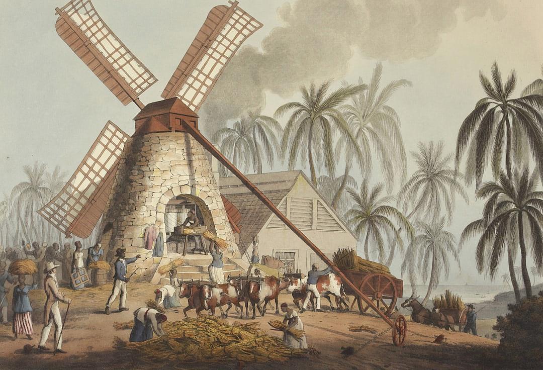 A detailed hand colored illustration of an old windmill in the Caribbean, with black people and horses pulling carriages carrying sugar cane to it for grinding during its decay period. The scene is set on plantations near wooden huts. There are palm trees around. It was painted in the style of [John James Audubon](https://goo.gl/search?artist%20John%20James%20Audubon) in 2058, and has an aged look as if it had been colored years ago. A small group of poor farmers dressed in rags work outside. They all wear hats. Hyper realistic.