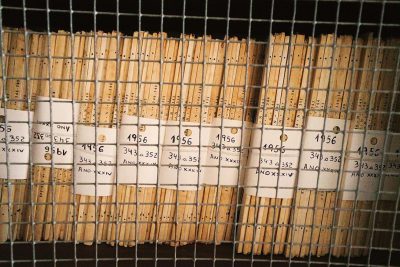 A photo shows the back of white cards with numbers written on them, stacked in an iron mesh storage unit. The grid is visible through which wooden sticks that form part of it can be seen. There is also some text and the number "2056" on one card. It looks like they were used to store materials or tools for construction work in the style of construction work.