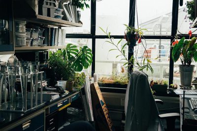 A photo of an office in Tokyo, filled with plants and scientific equipment, in the style of [Guy Bourdin](https://goo.gl/search?artist%20Guy%20Bourdin). The photograph is taken from the perspective looking through large windows at street level, with sunlight streaming into the room. There's a desk covered in glass beakers and vials on one side, while another corner features potted monstera leaves and other tropical houseplants. In front there’s a chair facing away from the camera, and next to it sits an open box containing various small plant pots.