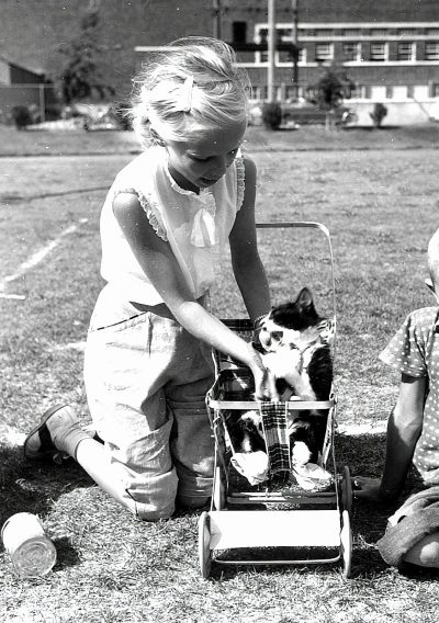 black and white photo of a young girl in the school yard playing with her cat in its toy stroller, summer , short blonde hair, 1960s in the style of 60s