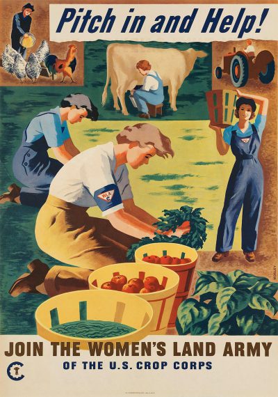 GROUND... flattening, pitch in and help! III women's land army of the U.S. crop DSLR", poster from World War II era showing woman farmers tending to crops with tractors nearby, carrying baskets filled with vegetables, animals like cows and chickens pecking at grass near by, vintage style with bold colors, wide angle shot, in the style of vintage World War II era posters.