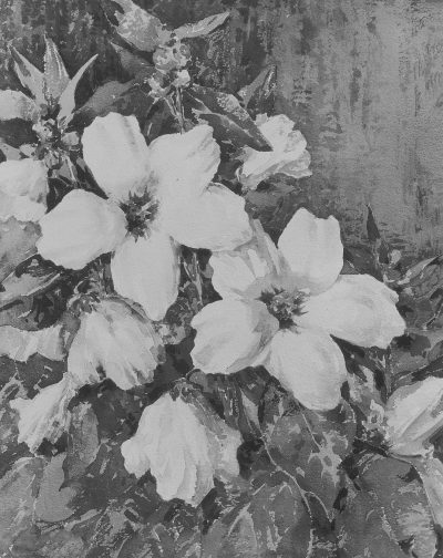 black and white oil painting of large dogwood flowers, painted by Manet, painted in the style of manett's impressionistic garden scene, loose brush strokes, vintage look, old paper texture background, monochromatic