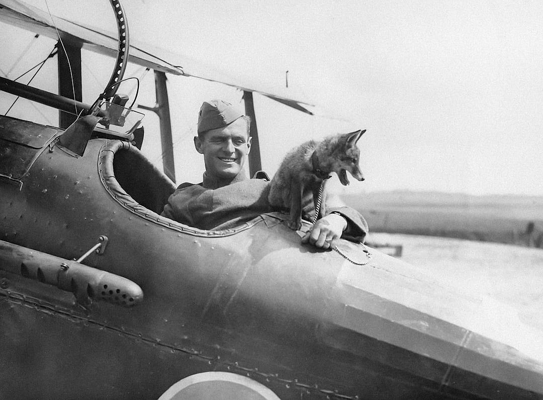 world war one black and white photograph of smiling pilot sitting in the cockpit with his pet fox on lap, flying high over french countryside,