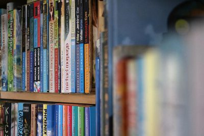 Close up of book shelf with colorful book spines, in the background is an out of focus blue wall, photo taken from inside of a home office cubicle, books on shelves have various modern fantasy and science fiction novel covers in the style of "[Michelangelo](https://goo.gl/search?artist%20Michelangelo) S. Imbodile".