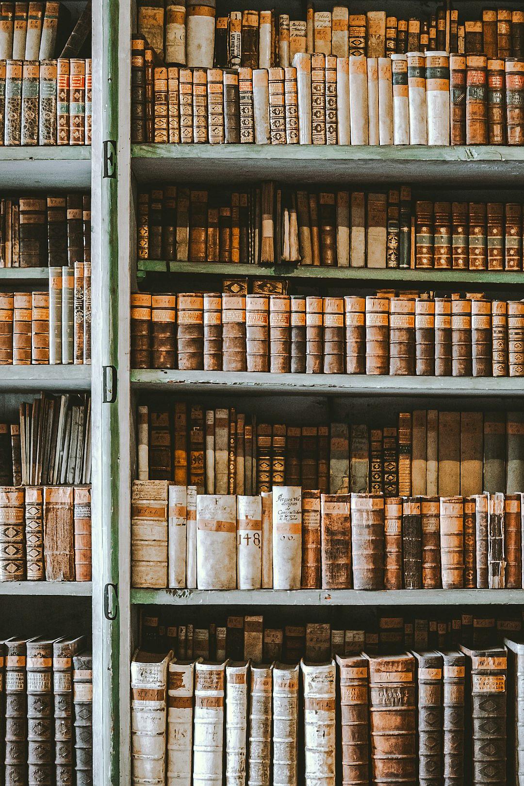 A vintage library filled with shelves of old, leatherbound books, evoking the charm and wisdom found in traditional educational materials. The stylish wallpaper for phone screen depicts this scene in the style of a traditional artist.