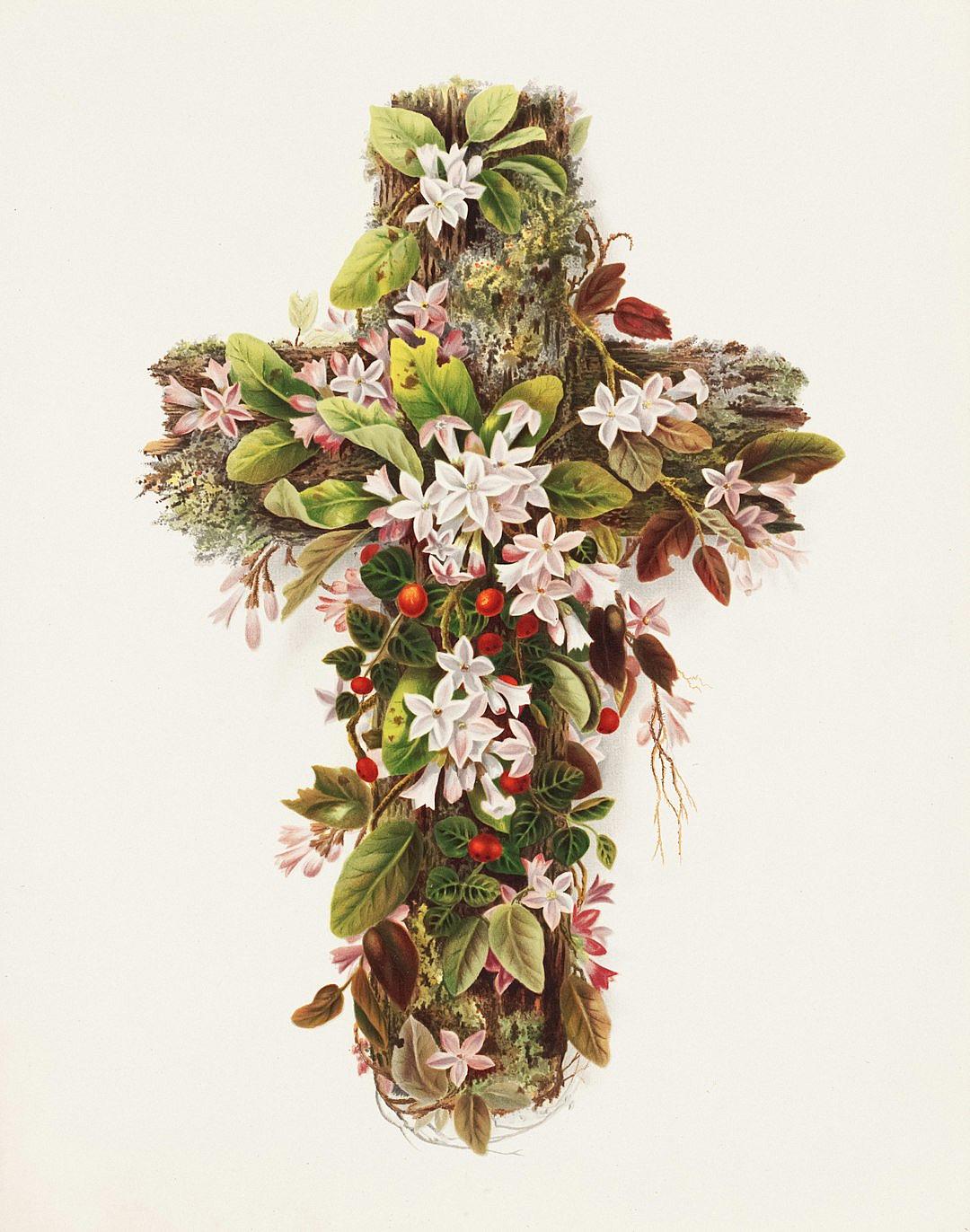 A cross made of wood, covered in moss and flowers. The design is detailed with various types of blossoms and leaves. in the style of [John James Audubon](https://goo.gl/search?artist%20John%20James%20Audubon) on a white background