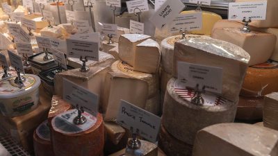 A photo displays various types and sizes of cheese on display at the Antwerp stock market with labels attached to each one. In close up shots, some cheeses are in wheel or big circular shapes, all in plastic packaging wrapped around them.