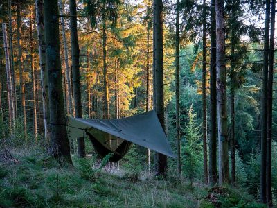 A small, olive green tarp sheltered by trees in the forest. A hammock hangs from its edge, offering shade and comfort to those who choose it as their home away from civilization. The setting sun casts long shadows through the dense foliage of pine forests, creating an atmosphere that is both peaceful yet wild.