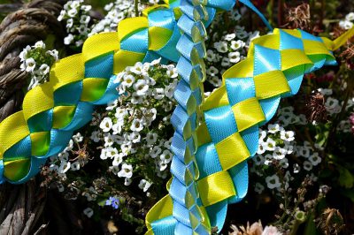 A photo of an intricate blue and green ribbon with a yellow checkered pattern, braided around white flowers in the garden in a close up view.