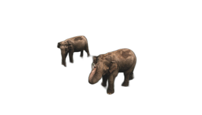 two elephants floating in the air, solid black background, photorealistic, top view, created in the style of unreal engine  Transparent Background