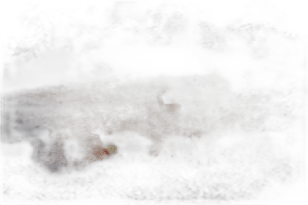 Dark blur photo of blurry shadow silhouette of animal group in darkness, dark shadows and light effects, blur effect, noise filter, grunge texture, noise effect, blur background, blur focus, low resolution, grainy  Transparent Background