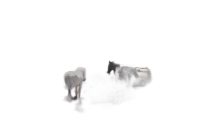 A minimalistic photo of horses in the dark, very dark black background, pastel colours, earth tones, high contrast, low key, white lighting from above, depth of field  Transparent Background