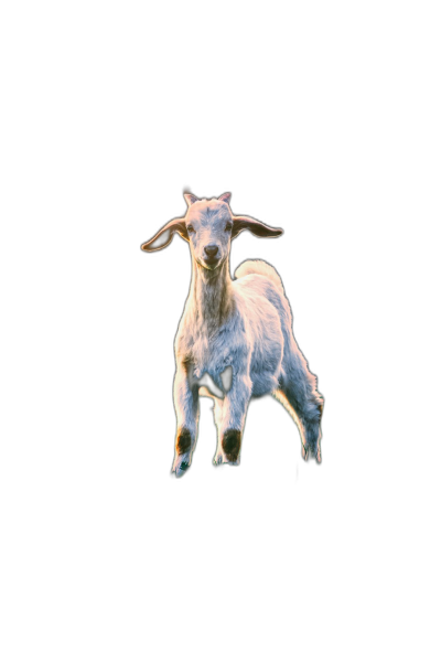 baby goat jumping, black background, photo realistic  Transparent Background