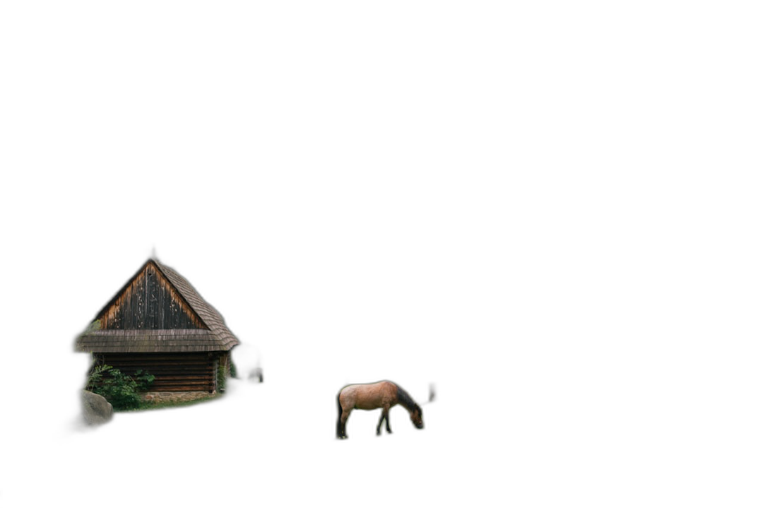 A small hut and horse on the left side of an all-black background, in the style of high resolution cinematography.  Transparent Background