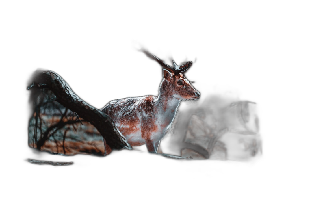 A deer in the dark forest, side view, in the style of National Geographic photography, hyper realistic, cinematic light, low angle shot, on a black background, high resolution photography  Transparent Background