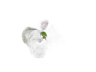 A single small red bird peering out from behind the shadows of green leaves, its head and body partially obscured by darkness against an all black background. The scene is illuminated with soft lighting that casts gentle highlights on the bird's feathers and conveys a sense of mystery or adventure. The focus should be sharp to capture every detail in the dimly lit environment. This photograph has been taken at night using a Canon EOS camera, in the style of a nighttime photograph.  Transparent Background