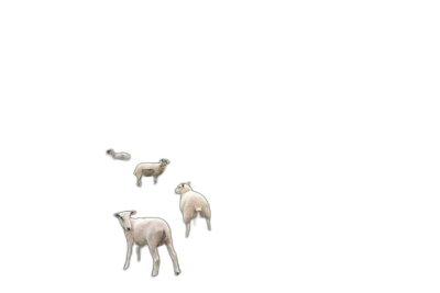 A few white lambs floating in the air on a black background, minimalistic and simple with no shadows, in the style of cinematic.  Transparent Background