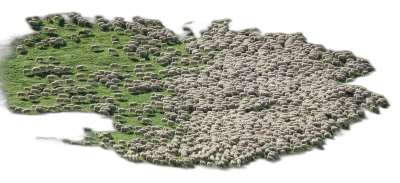 A top-down view of an island covered in sheep, viewed from above on a black background, with high resolution and no text or symbols. The island has detailed green grass and a dense flocking of white sheep. The entire scene is isolated against a dark backdrop to highlight its distinct shape and texture in the style of no particular artist.  Transparent Background