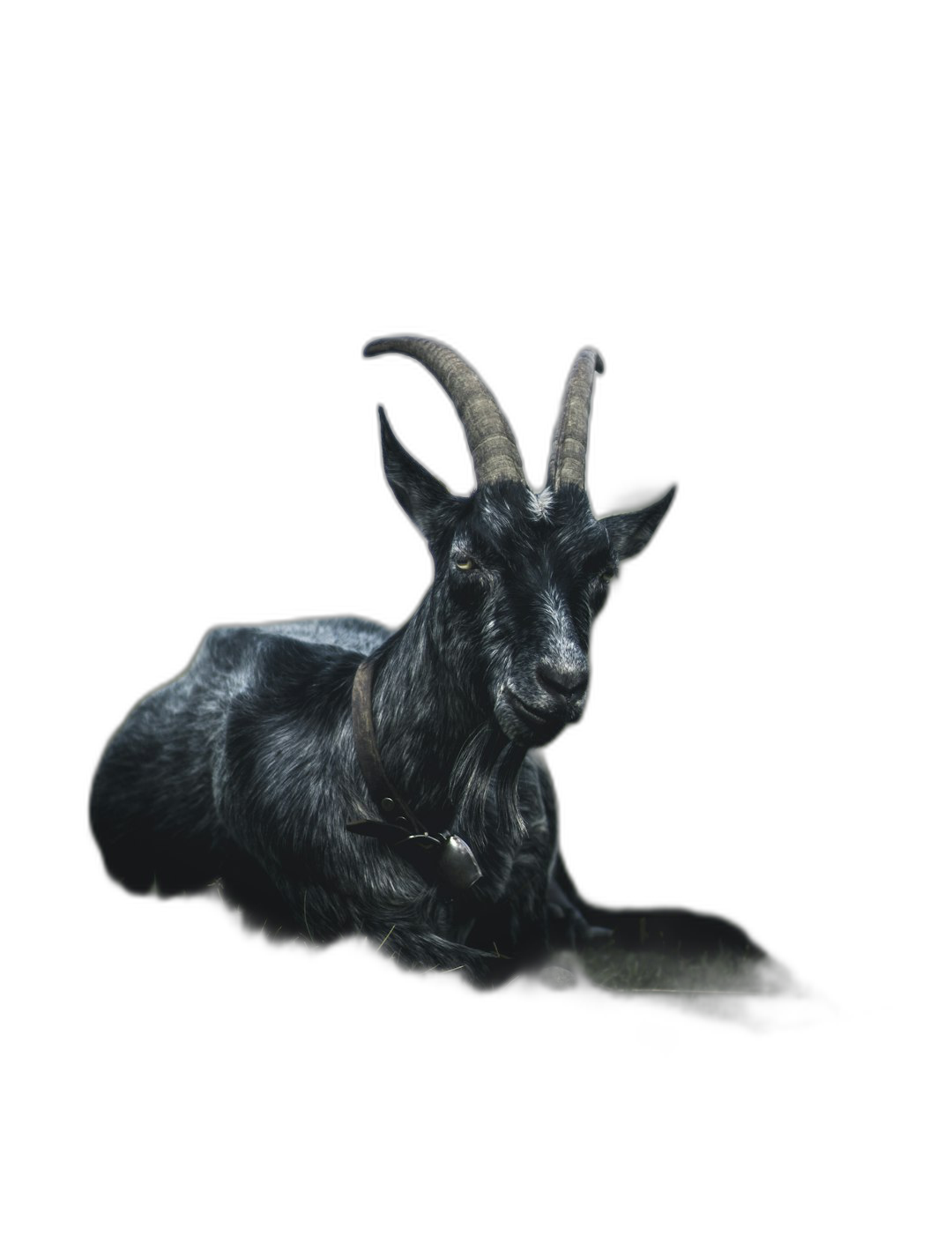 Black goat lying down, front view, black background, in the style of photography, fantasy world, hyperrealistic  Transparent Background