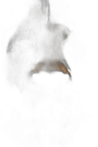 a close up of the mouth and nose from an animal in darkness, a lion's head emerging out of pitch black background, only light is coming through its eyes, minimalism, cinematic, hyperrealistic photography,  Transparent Background