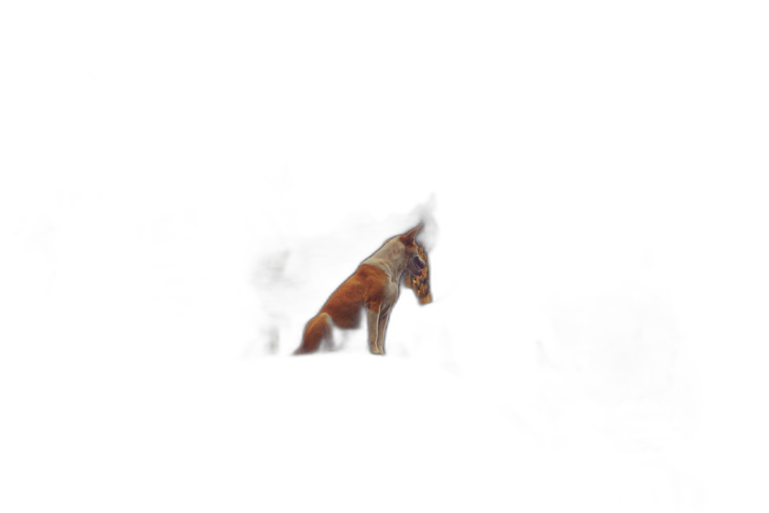 a distant silhouette of an animal in the darkness, with only its outline visible against black background, minimalistic, style raw  Transparent Background