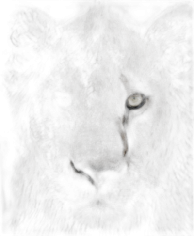 A close up of the face and eyes of an angry black leopard in complete darkness, in the style of darkcore, national geographic photo, in the style of daz3d, dark amber tones, portraitures with hidden meanings, atmospheric woodland imagery  Transparent Background