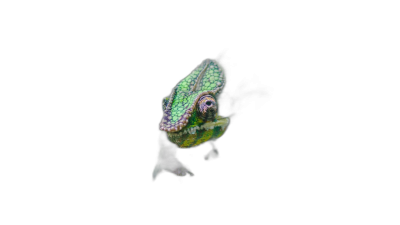 A chameleon, green and black color scales, peeking out from the darkness on pure black background, macro photography, high resolution, photographed with Sony Alpha A7 III  Transparent Background