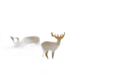 Blurred silhouette of a deer against a black background. Abstract animal concept depicted in the style of a 3D rendering. Flat lay image.  Transparent Background