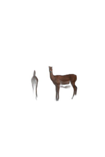 Two deer floating in the darkness, with no background, floor, ground or sky, everything is black and dark. The artwork is done in a hyper realistic, photo realistic style with high resolution and high definition, like a scene from cinematography.  Transparent Background