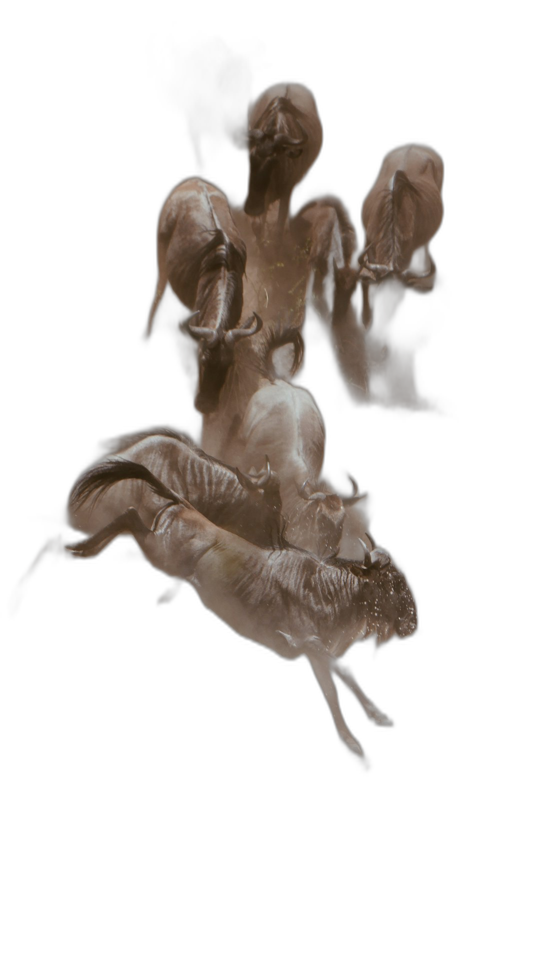 a blurry floating in the darkness of space, transparent ghostly humanoid figures with elongated heads and short necks, dancing in a dynamic pose, made from light gray plasticine, on black background, hyper realistic photography  Transparent Background