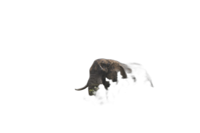 An elephant in the darkness, minimalism, black background, silhouette photography, 2K, high resolution  Transparent Background