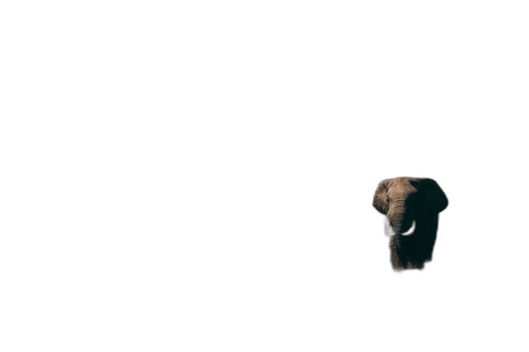 minimalist black wallpaper with an elephant in the bottom right corner, dark background, cinematic  Transparent Background