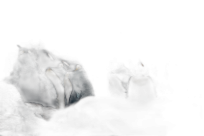 penguins in a dark cave, illuminated in the style of flashlights, low angle shot, photo realistic, cinematic  Transparent Background