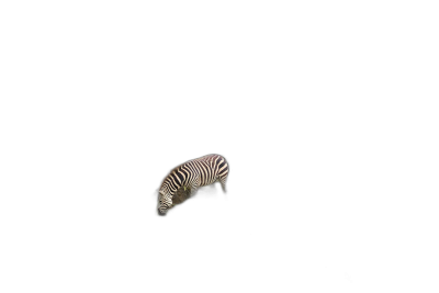 A single zebra in the darkness, minimalism, negative space, negative color palette, black background, very dark, low light, wide shot, photography, epic, dramatic, cinematic, volumetric lighting, ultra realistic, high resolution  Transparent Background