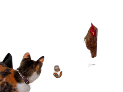 A cat and chicken chasing a snail, on a black background, from a back view, with a low angle shot, using a wide lens, at f/20.  Transparent Background