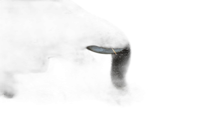 A small white light in the darkness, a little dust upon it, black background, dark environment, shot in the style of canon eos r5.  Transparent Background