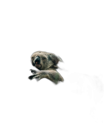 A minimalistic ultra high resolution photo of an adorable koala sleeping on its back in the dark, floating mid air with soft edges against black background, studio lighting, centered  Transparent Background