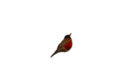 A small bird floating in the air, isolated on a black background, with a dark red and brown color scheme, in a style resembling high resolution photography, with insanely detailed fine details, resembling a stock photo, resembling a professional photoshoot.  Transparent Background