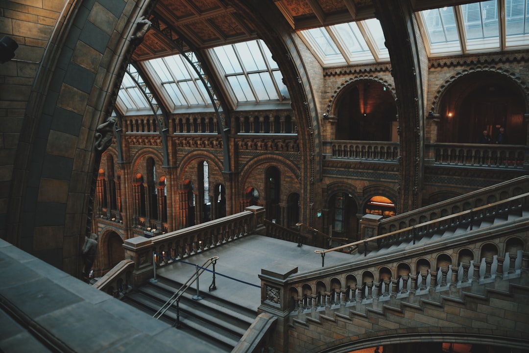 Photo of the Natural History Museum in London, interior view, stone and wood architecture with glass roof, grand staircase at the grand entrance, cinematic shot of the interior, natural lighting, captured in the style of Hasselblad X2D camera on Kodak Gold film stock. –ar 128:85