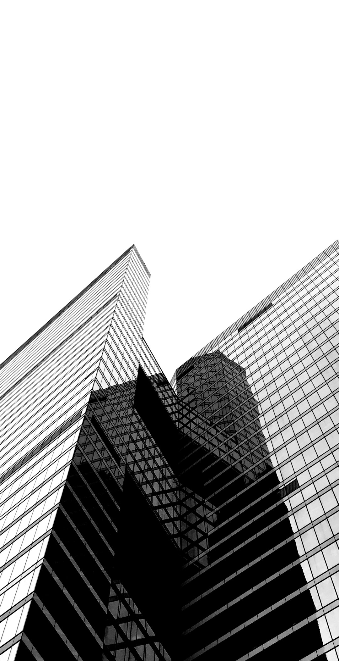 Black and white skyscrapers in simple lines with a simple background and white space at the top of the picture in the style of high definition photography.