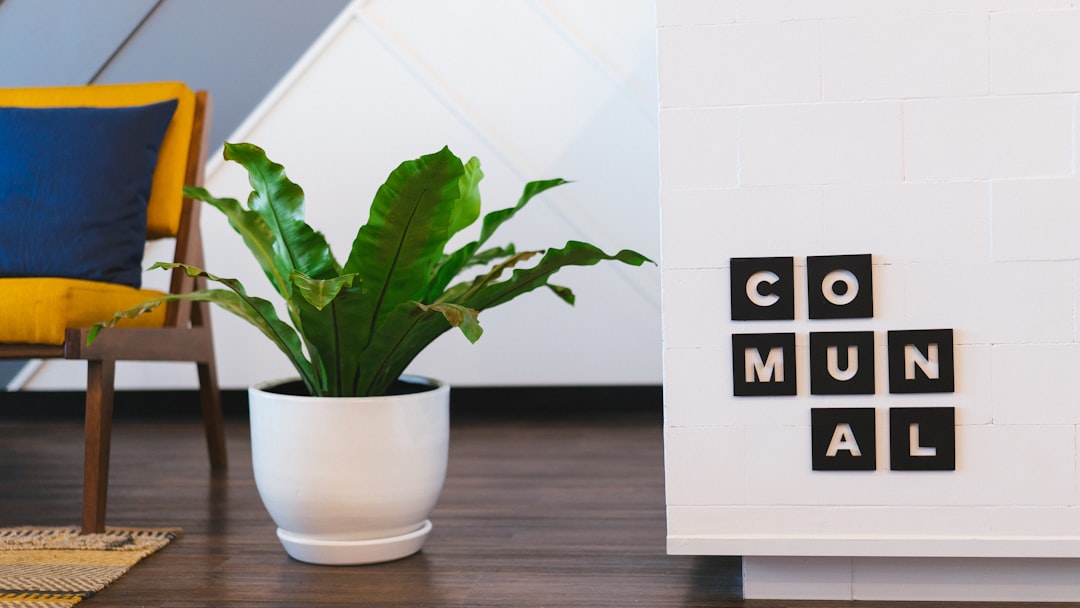 A photo of the text “COMaharal” written on a white wall in black vinyl letters next to a potted plant, in a modern office interior with a yellow chair and navy blue accents, with natural light, captured with high resolution photography. –ar 16:9